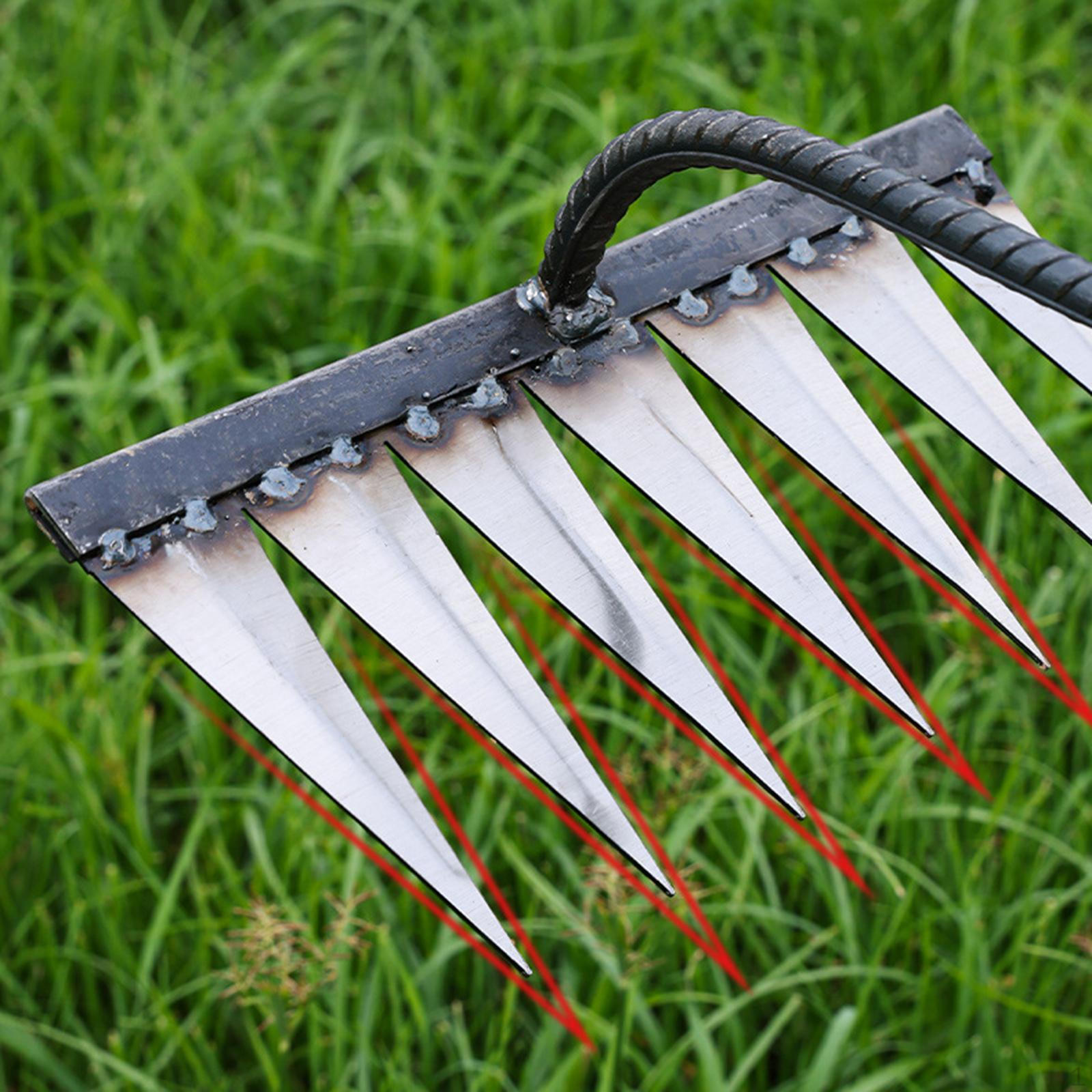 Садова граблі з вуглецевої сталі для ефективної роботи на подвір ї with 7 Tines
Садова граблі з вуглецевої сталі для ефективної роботи на подвір ї with 7 Tines