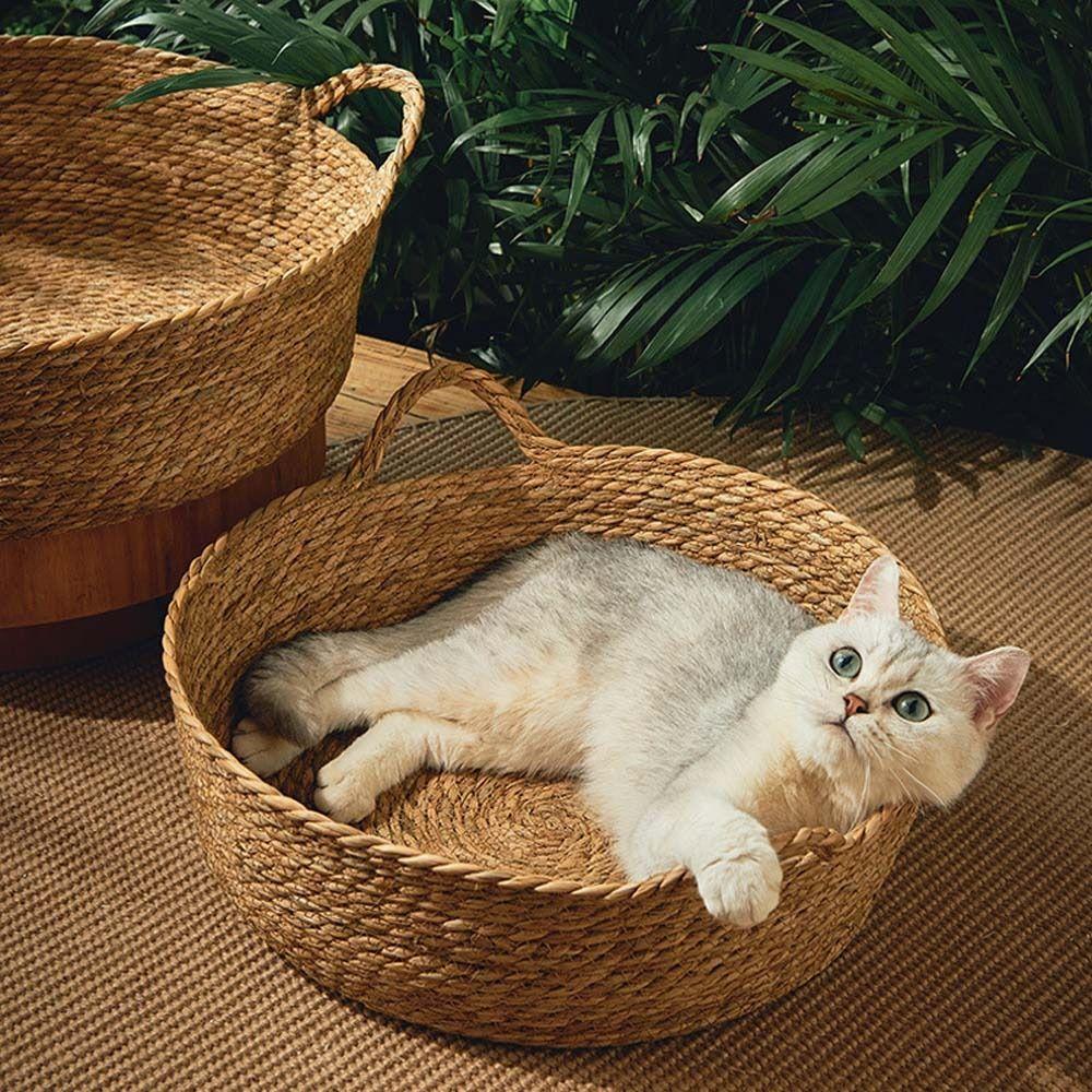 Scratch Board Cooling For Small Dogs Cats Cats House Basket Cat Nest Pet Supplies Pet Sleeping Bed M
Scratch Board Cooling For Small Dogs Cats Cats House Basket Cat Nest Pet Supplies Pet Sleeping Bed M