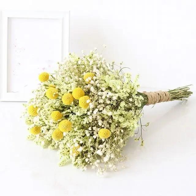 Natural Dried Flowers Gypsophila Bouquet Dried Flower Arrangement Floral Wedding Home Decoration Dried Flowers C
Natural Dried Flowers Gypsophila Bouquet Dried Flower Arrangement Floral Wedding Home Decoration Dried Flowers C