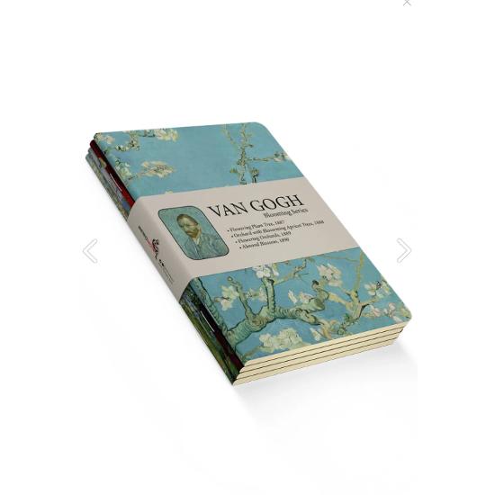 Набір блокнотів Van Gogh з 4 блокнотів - серія Blooming - без ліній - 64 сторінки - 14x21 см
Набір блокнотів Van Gogh з 4 блокнотів - серія Blooming - без ліній - 64 сторінки - 14x21 см