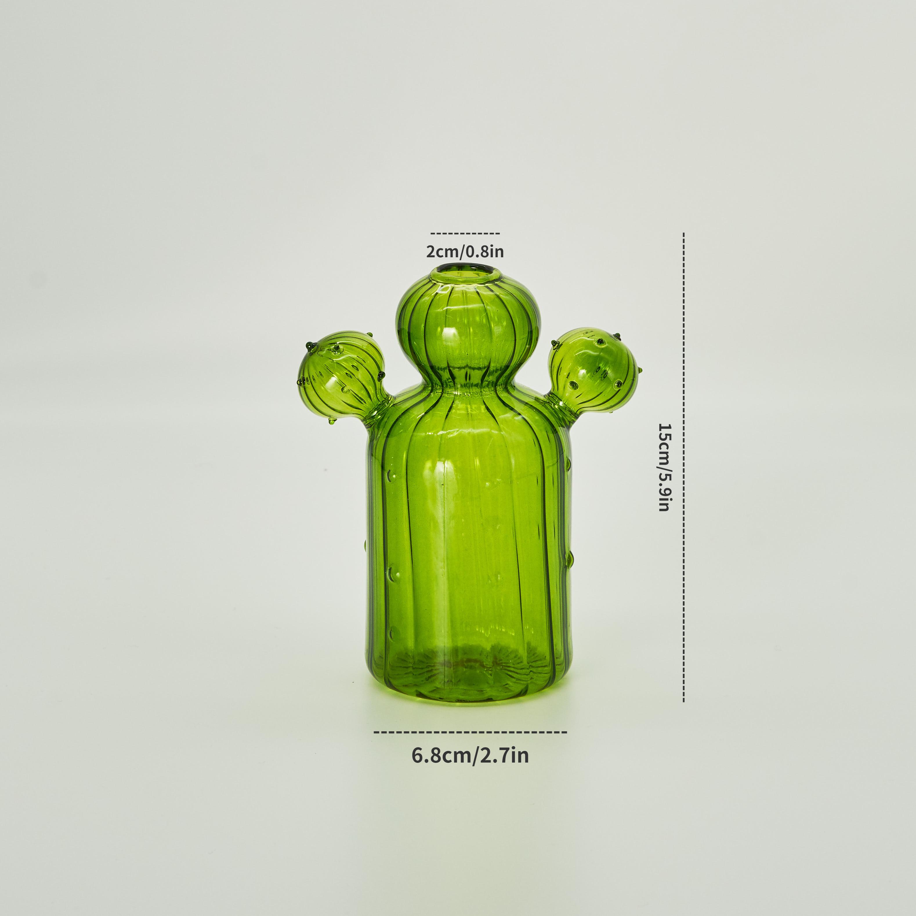 Кактус Стеклянная ваза Гидропонное растение Украшение гостиной Бутылка для ароматерапии Цветочная декоративная ваза Настольная маленькая ваза Ручная работа