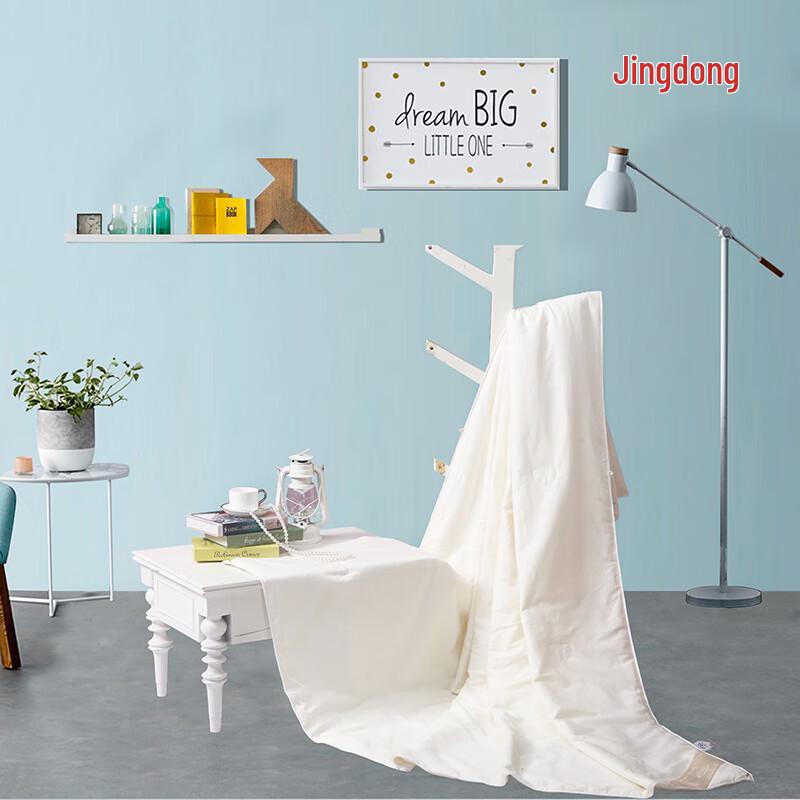 Mercury Home Textiles Kyle Tussah Silk Quilt
Mercury Home Textiles Kyle Tussah Silk Quilt