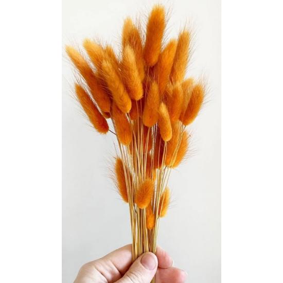 Orange Dried Cotton Grass, Rabbit Tail Bridal Bouquet Arrangement Flower Lagurus 30 Branches
Orange Dried Cotton Grass, Rabbit Tail Bridal Bouquet Arrangement Flower Lagurus 30 Branches