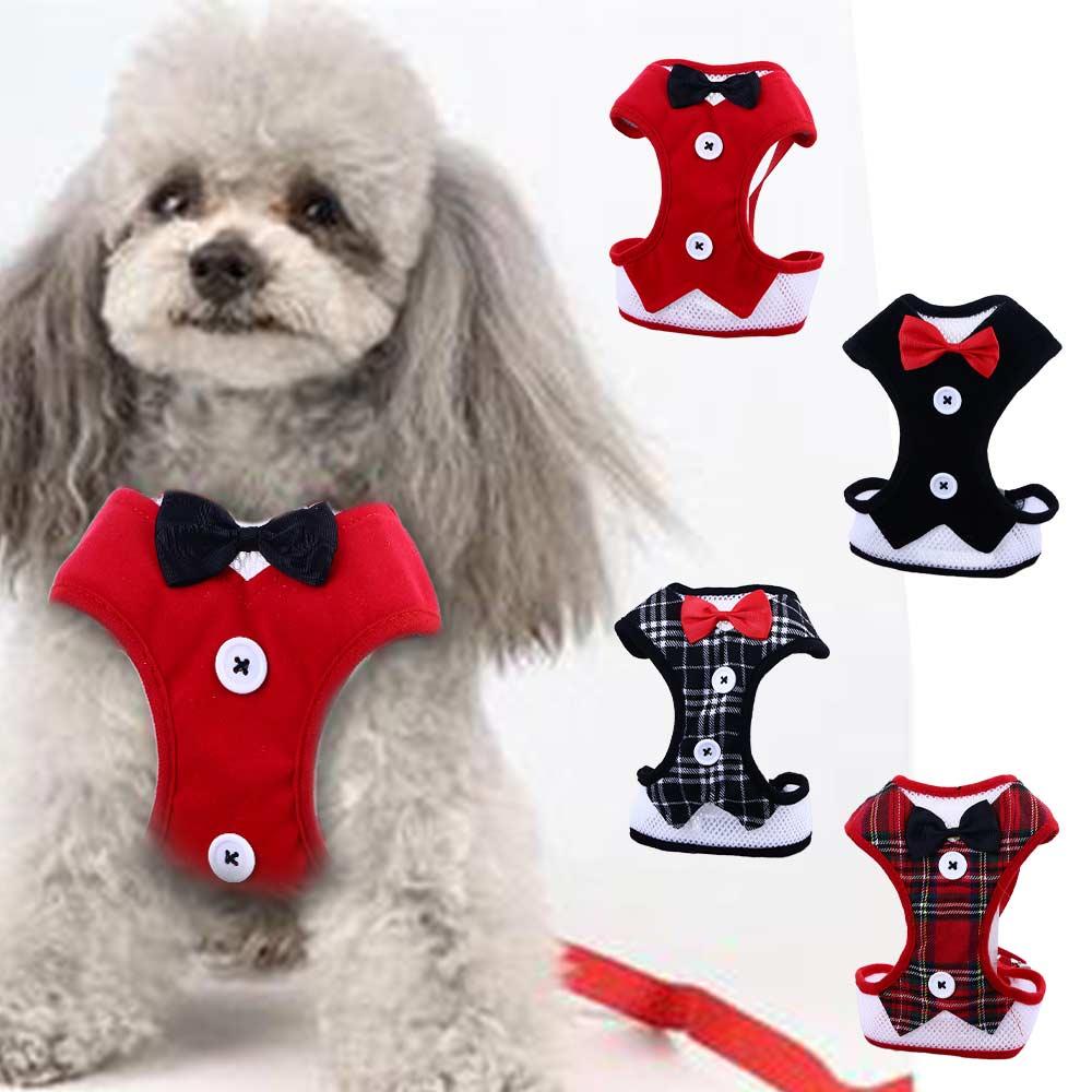 Collar for Small Medium Dogs Belt Dog Leads Puppy Harness Leash Pet Vest Cat Evening Dress L-Red
Collar for Small Medium Dogs Belt Dog Leads Puppy Harness Leash Pet Vest Cat Evening Dress L-Red