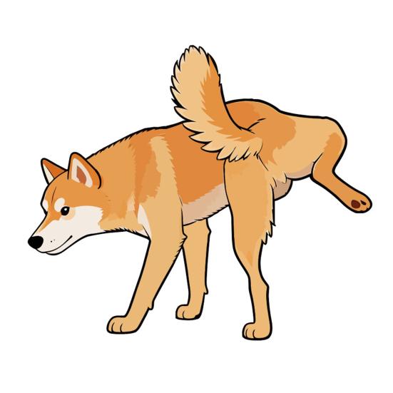 Dog Peeing Stickers Cute Animal Car Sticker Waterproof PVC Car Decal for Cars Trucks Windows Walls Laptops Size#Little
Dog Peeing Stickers Cute Animal Car Sticker Waterproof PVC Car Decal for Cars Trucks Windows Walls Laptops Size#Little