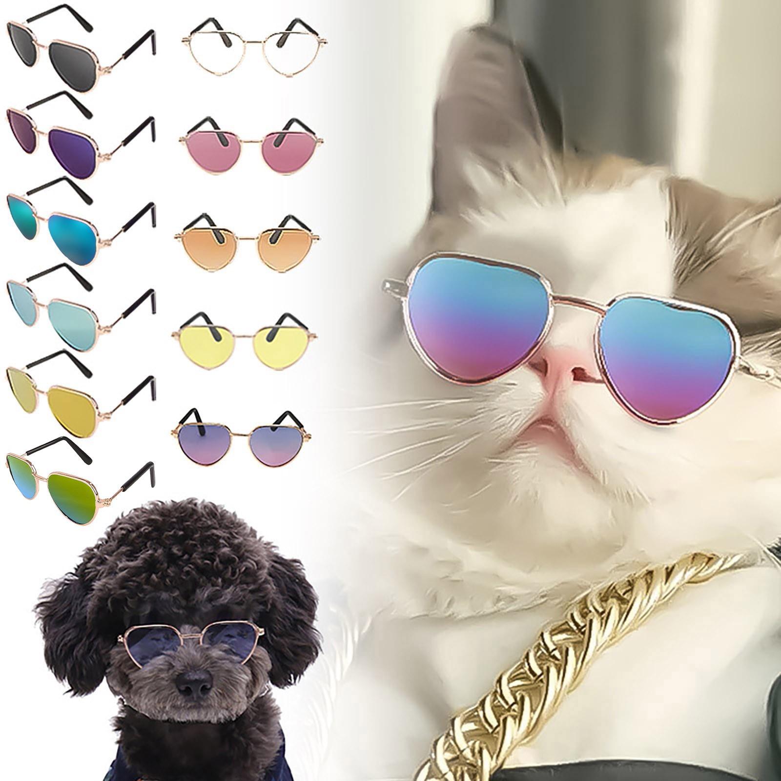 Dog Sunglasses Cat Sunglasses Pet Hippie Funny Pet Sunglasses Dog Cat Role Play Party Costumes Po Props One Size помаранчевий
Dog Sunglasses Cat Sunglasses Pet Hippie Funny Pet Sunglasses Dog Cat Role Play Party Costumes Po Props One Size помаранчевий