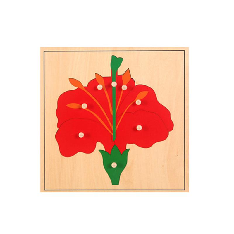 Дерев яний Натуральний Науковий Пазл Монтессорі Іграшки Тварини/Рослини/Комахи/Фрукти/Структура Людських Органів Навчальні Іграшки Для Дітей
Дерев яний Натуральний Науковий Пазл Монтессорі Іграшки Тварини/Рослини/Комахи/Фрукти/Структура Людських Органів Навчальні Іграшки Для Дітей