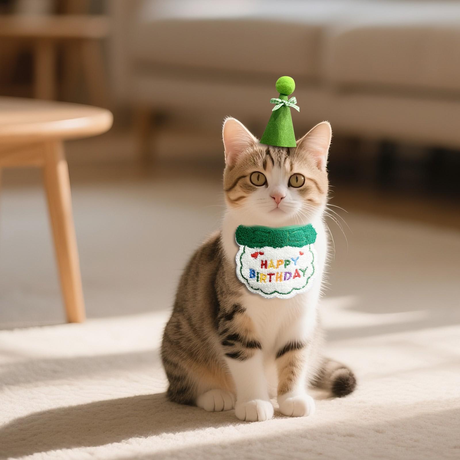 Костюм на день рождения кошки Украшение на день рождения собаки Нагрудник Набор шляп для дня рождения питомца Шарф-нагрудник One Size зелёный
Костюм на день рождения кошки Украшение на день рождения собаки Нагрудник Набор шляп для дня рождения питомца Шарф-нагрудник One Size зелёный