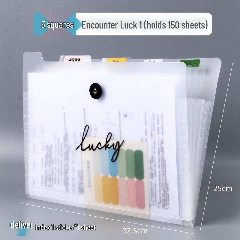 A4 School Accordion Bag: Large Capacity Multi-layer Test Paper Organizer and Plastic Insert Folder
A4 School Accordion Bag: Large Capacity Multi-layer Test Paper Organizer and Plastic Insert Folder