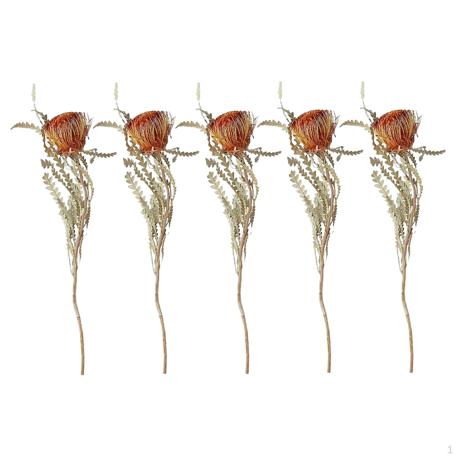 5Pcs Natural Dried Flowers Bouquet Home Decor for Bedroom Living Room Table
5Pcs Natural Dried Flowers Bouquet Home Decor for Bedroom Living Room Table