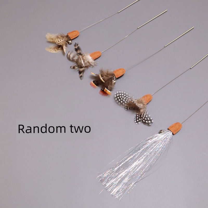 Competition Level Cat Teaser Natural Feather Zipper Head Cat Playing Rod Tassel Sound Kittens Self-Hi Relieving Stuffy Pet Supplies Any 2 replacement heads without rods!
Competition Level Cat Teaser Natural Feather Zipper Head Cat Playing Rod Tassel Sound Kittens Self-Hi Relieving Stuffy Pet Supplies Any 2 replacement heads without rods!