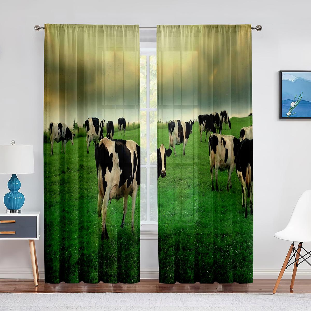 Забавная прозрачная занавеска с изображением сельскохозяйственных животных, молочной коровы и молока для гостиной, вуаль для оконных жалюзи, тюлевые занавески для спальни, кухни, шторы 1 PCS W100XH250cm&Grommet Top
Забавная прозрачная занавеска с изображением сельскохозяйственных животных, молочной коровы и молока для гостиной, вуаль для оконных жалюзи, тюлевые занавески для спальни, кухни, шторы 1 PCS W100XH250cm&Grommet Top