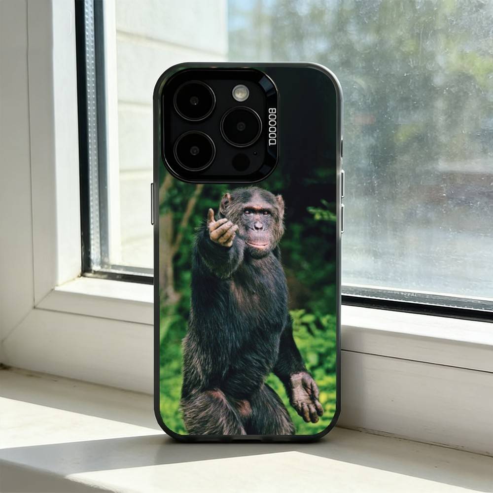 Смешная Обезьяна М-Мемы Чехол для Телефона Для iPhone 17,16,15,14,13,12,11 Plus,Pro Max,XS,Красочный Серебристый Черный Чехол iPhone15pro
Смешная Обезьяна М-Мемы Чехол для Телефона Для iPhone 17,16,15,14,13,12,11 Plus,Pro Max,XS,Красочный Серебристый Черный Чехол iPhone15pro