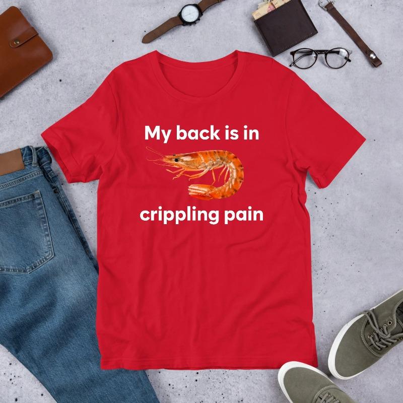 My Back Is In Crippling Pain Shrimp Funny Meme Shirt Ironic Shirt Weirdcore Clothing Joke Gift Oddly Specific S
My Back Is In Crippling Pain Shrimp Funny Meme Shirt Ironic Shirt Weirdcore Clothing Joke Gift Oddly Specific S