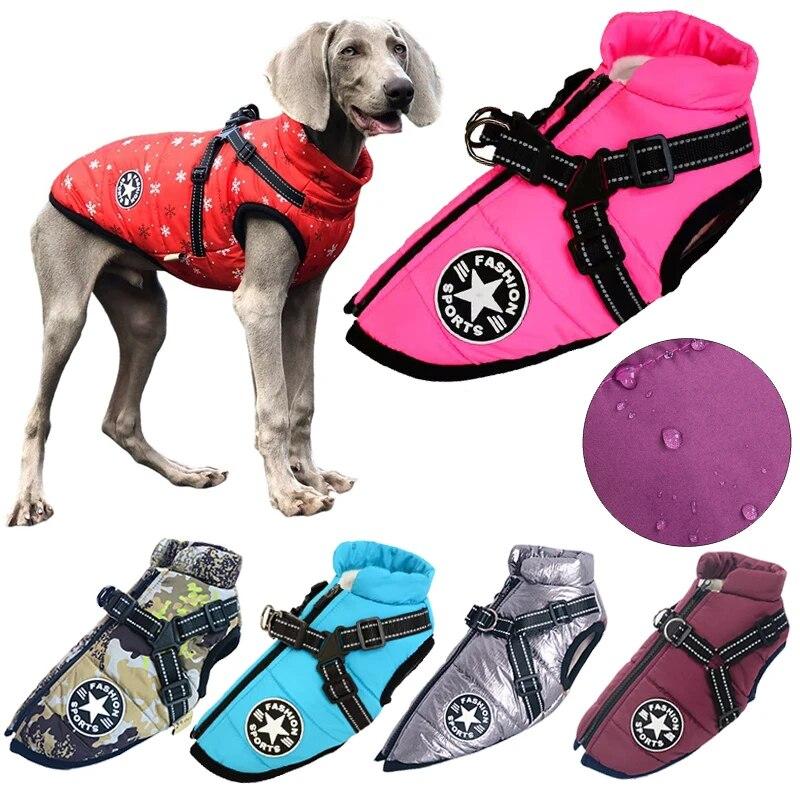 Зимняя одежда Haustier Hund Mantel Haustier Kleidung Welpen Outfit Weste Warm Hund Kleidung Für Labrador Chihuahua Kleine Hunde Ropa Para Para Para
Зимняя одежда Haustier Hund Mantel Haustier Kleidung Welpen Outfit Weste Warm Hund Kleidung Für Labrador Chihuahua Kleine Hunde Ropa Para Para Para