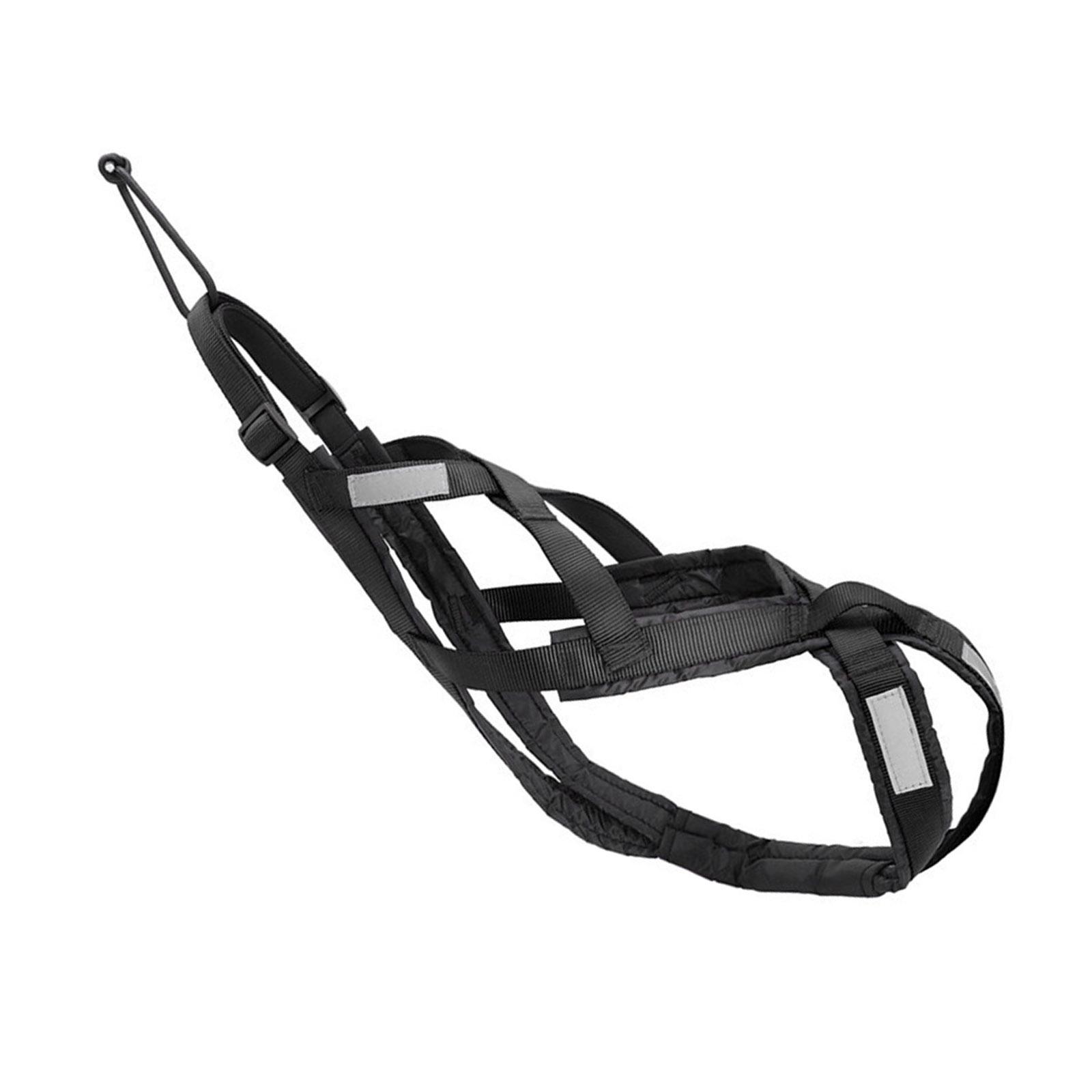 Регульована шлейка для собак, що тягнуть, для великих порід, світловідбиваючий нагрудник для домашніх тварин для бігу, їзди на велосипеді та катання на лижах, для занять спортом на відкритому повітрі XL чорний
Регульована шлейка для собак, що тягнуть, для великих порід, світловідбиваючий нагрудник для домашніх тварин для бігу, їзди на велосипеді та катання на лижах, для занять спортом на відкритому повітрі XL чорний