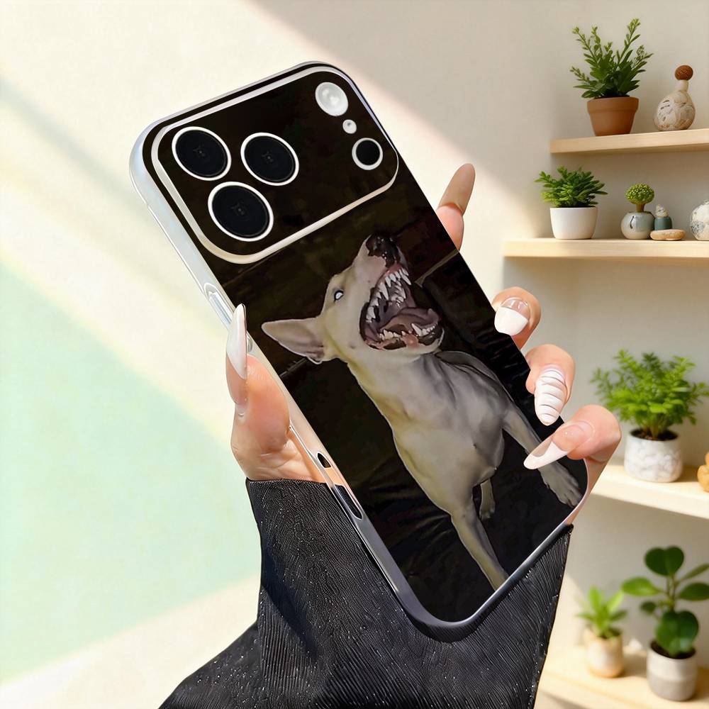 Bull Terrier Dog Pet For iPhone 17,16,15,14,13,12,11,Pro,Max,Plus,Mini,SE4,E Magnetic For Magsafe Wireless Phone Case iPhone13
Bull Terrier Dog Pet For iPhone 17,16,15,14,13,12,11,Pro,Max,Plus,Mini,SE4,E Magnetic For Magsafe Wireless Phone Case iPhone13