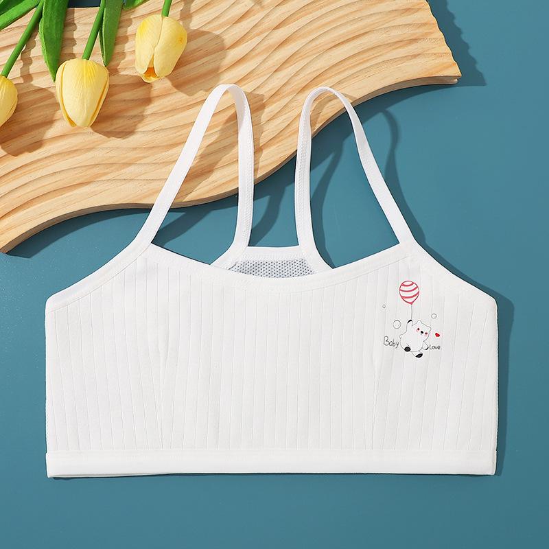 Развивающийся дышащий тонкий бюстгальтер для девочек-подростков One Size
Развивающийся дышащий тонкий бюстгальтер для девочек-подростков One Size