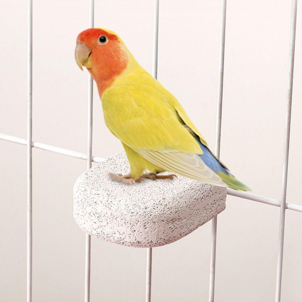 Easy Installation Bird Teeth Chew Toy Non-slip Cage Perch Stand Bird Grinding Stone Hamster Style 2
Easy Installation Bird Teeth Chew Toy Non-slip Cage Perch Stand Bird Grinding Stone Hamster Style 2
