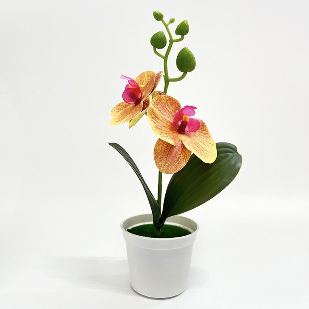 25cm Simulated Butterfly Orchid Butterfly Orchid DIY Artificial Flower Bonsai Artificial Potted Artificial Plant
25cm Simulated Butterfly Orchid Butterfly Orchid DIY Artificial Flower Bonsai Artificial Potted Artificial Plant