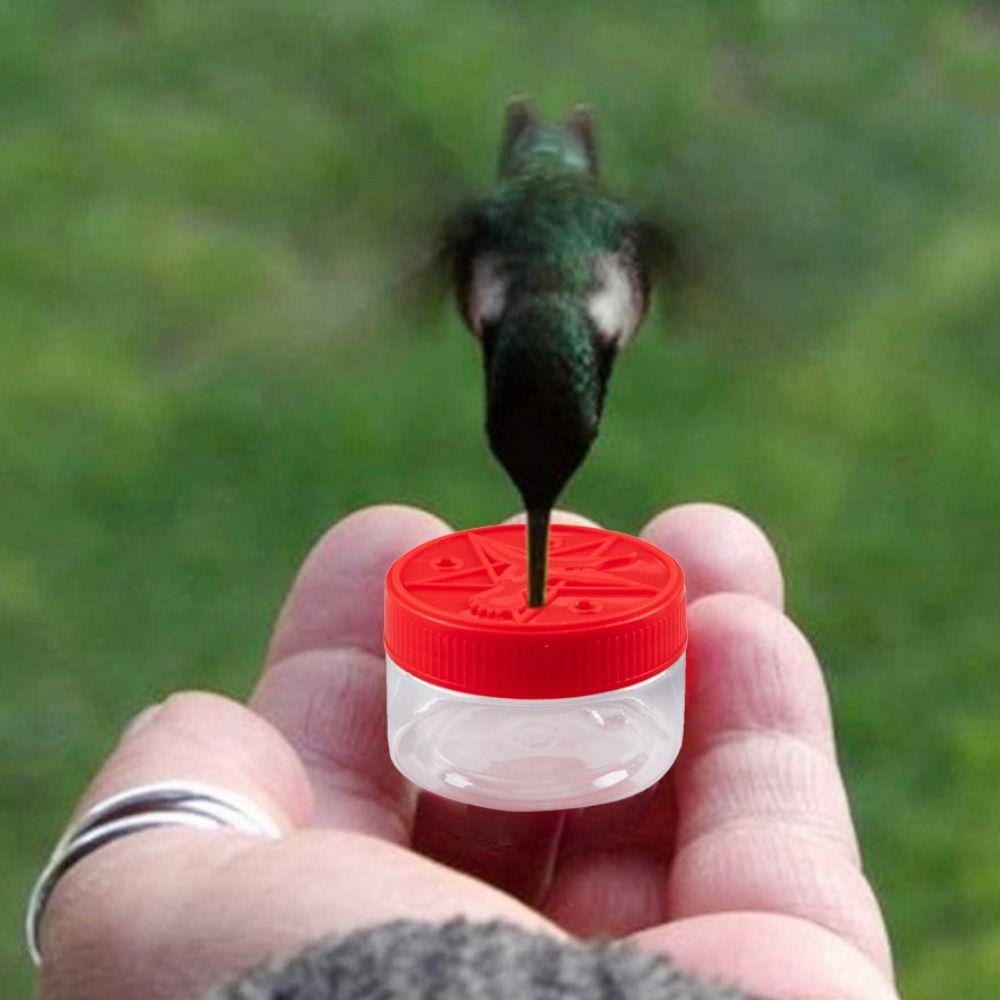 Outdoor Red Hummingbird Food Holder Window Bird Feeders Pigeon Food Container Hummingbird Feeders
Outdoor Red Hummingbird Food Holder Window Bird Feeders Pigeon Food Container Hummingbird Feeders