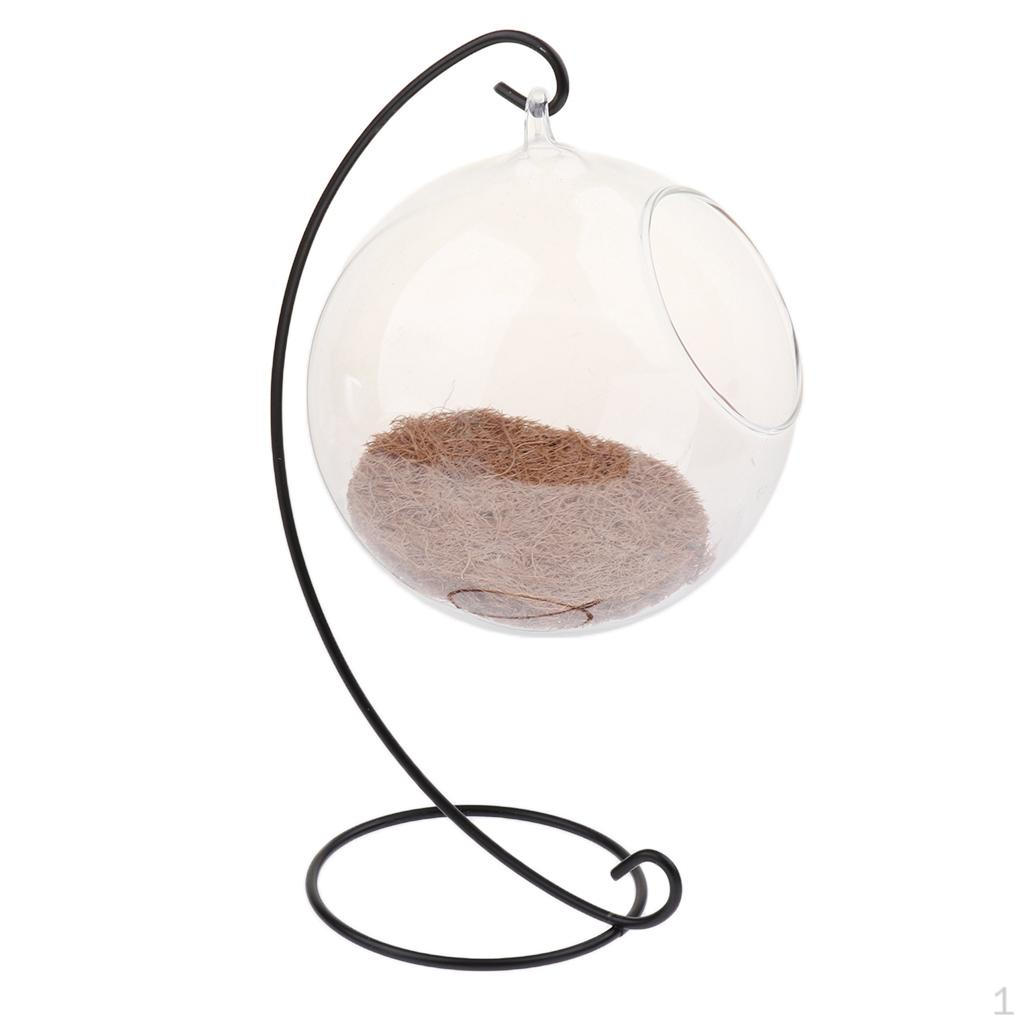 Beautiful Small Pet Parrot Hamster Glass Birdhouse Cage Accessory
Beautiful Small Pet Parrot Hamster Glass Birdhouse Cage Accessory