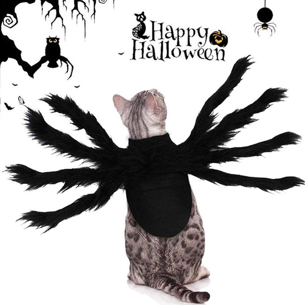 Cosplay Pet Spider Costume Simulation Cats Party Cosplay Props Halloween Spider Pet Costume Puppy S
Cosplay Pet Spider Costume Simulation Cats Party Cosplay Props Halloween Spider Pet Costume Puppy S