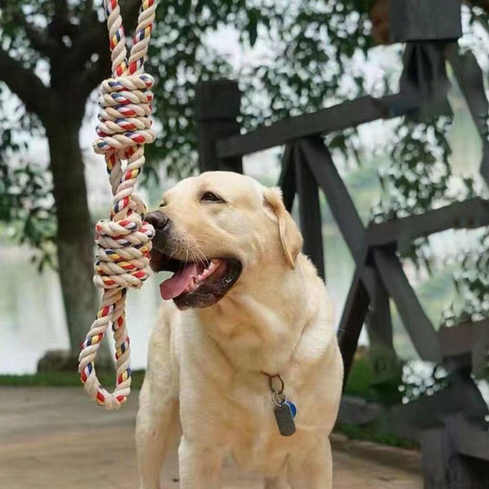 Wear Resistant Puppy Rope Knot Toy Bite Resistant Pet Molar Toy Dogs Cotton Rope Toy Grinding colorful
Wear Resistant Puppy Rope Knot Toy Bite Resistant Pet Molar Toy Dogs Cotton Rope Toy Grinding colorful
