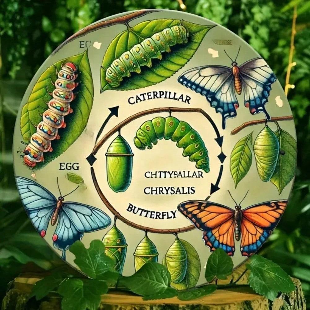 Steel Canvas Butterfly Life Cycle Wall Art Home Decor Gift 20x20 разноцветный
Steel Canvas Butterfly Life Cycle Wall Art Home Decor Gift 20x20 разноцветный