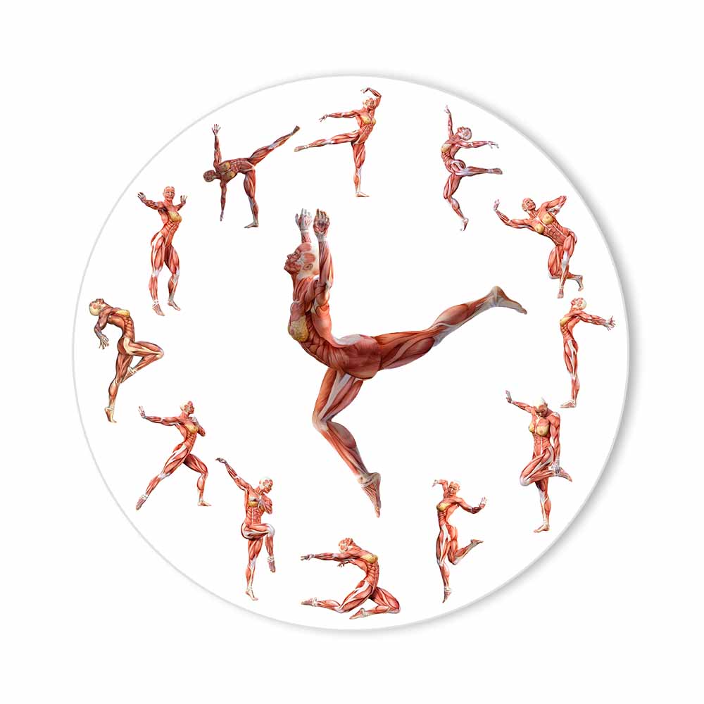 Мышцы, анатомический мужчина, новинка, настенные часы, медицинское произведение искусства, танцор балета, домашний декор;Анатомия позы танцовщицы йоги. Бесшумные часы. 
Мышцы, анатомический мужчина, новинка, настенные часы, медицинское произведение искусства, танцор балета, домашний декор;Анатомия позы танцовщицы йоги. Бесшумные часы.