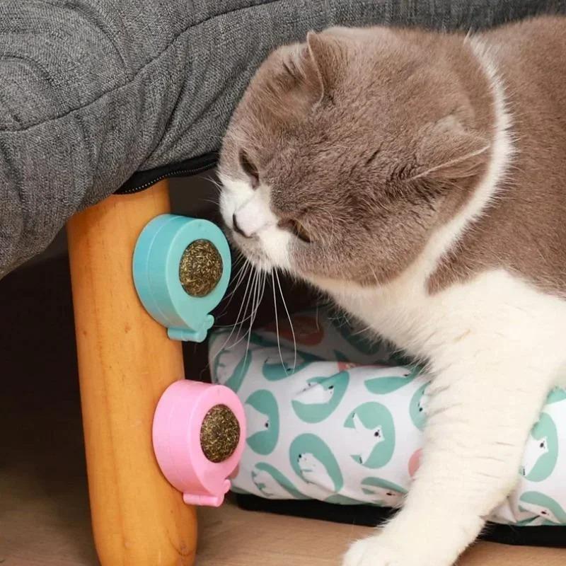 Catnip Ball Cat Toy Self-exuberant Teething Catticker Stick To The Wall Lick Lick Roca Ready-to-eat Baby Cat Supplies Rose Red 1PC
Catnip Ball Cat Toy Self-exuberant Teething Catticker Stick To The Wall Lick Lick Roca Ready-to-eat Baby Cat Supplies Rose Red 1PC