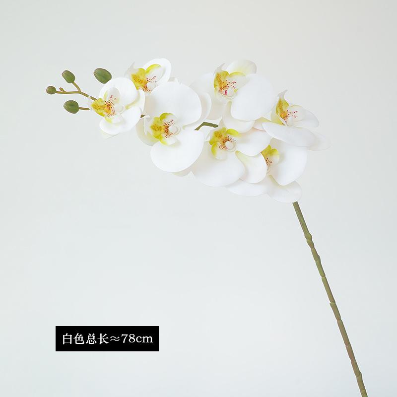 Phalaenopsis simulated flower living room decorative flower wedding arrangement flower high-end soft glue Phalaenopsis fake flower белый
Phalaenopsis simulated flower living room decorative flower wedding arrangement flower high-end soft glue Phalaenopsis fake flower белый