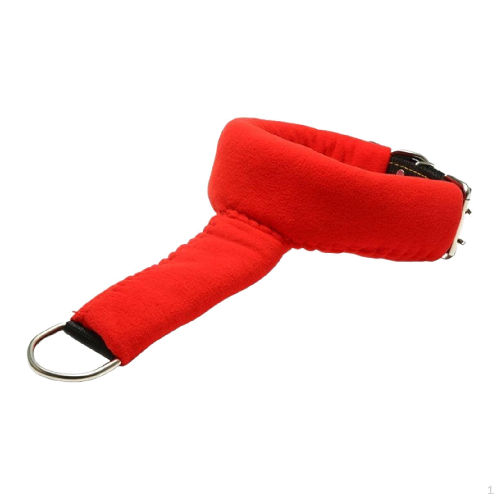 Adjustable Dog Choker Collar with D- for Training Pet Supplies Comfortable Thickness M
Adjustable Dog Choker Collar with D- for Training Pet Supplies Comfortable Thickness M