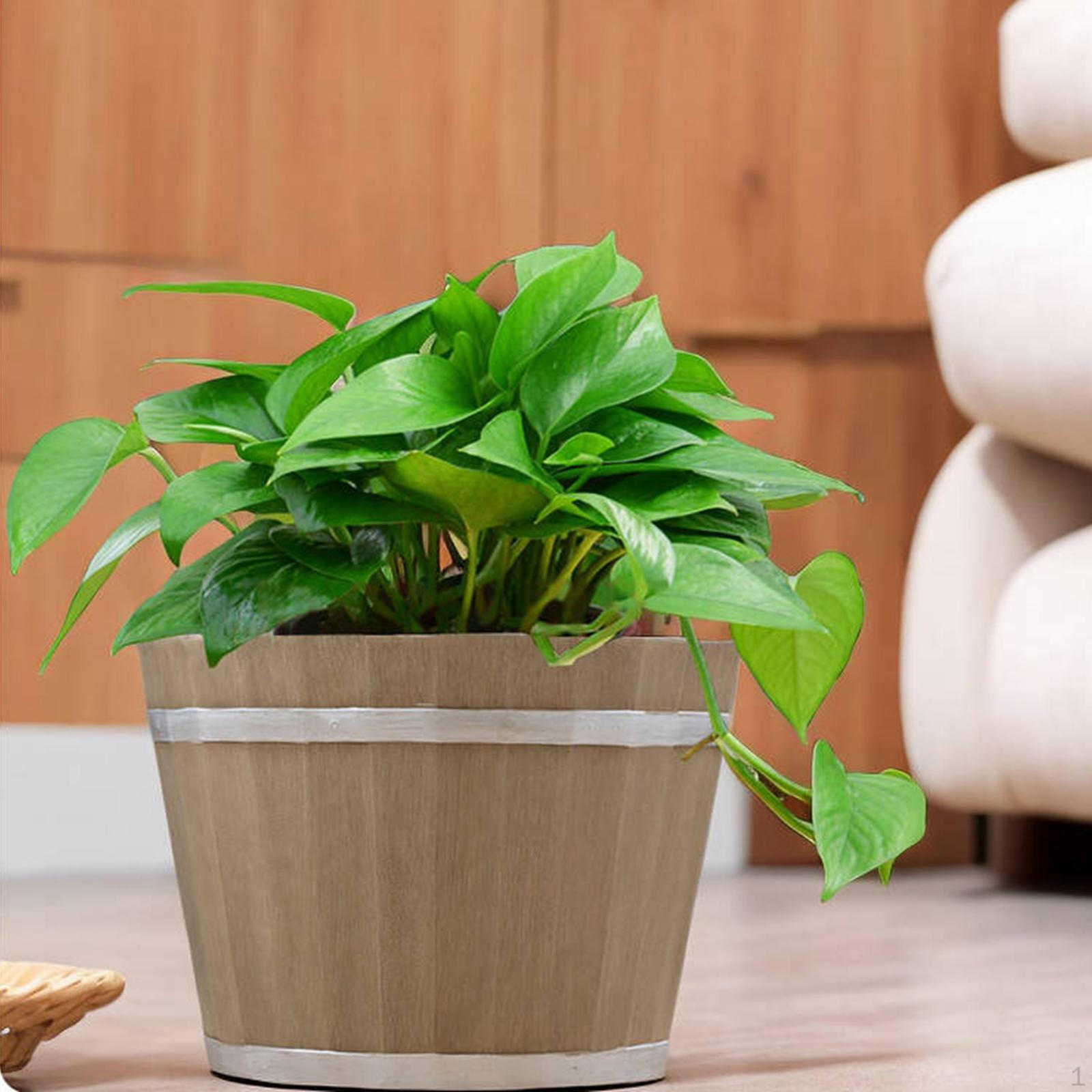 Цветочный горшок, растения, произведения искусства, подарки, украшения, ремесла, контейнеры, ваза для гостиной 6 Inch
Цветочный горшок, растения, произведения искусства, подарки, украшения, ремесла, контейнеры, ваза для гостиной 6 Inch