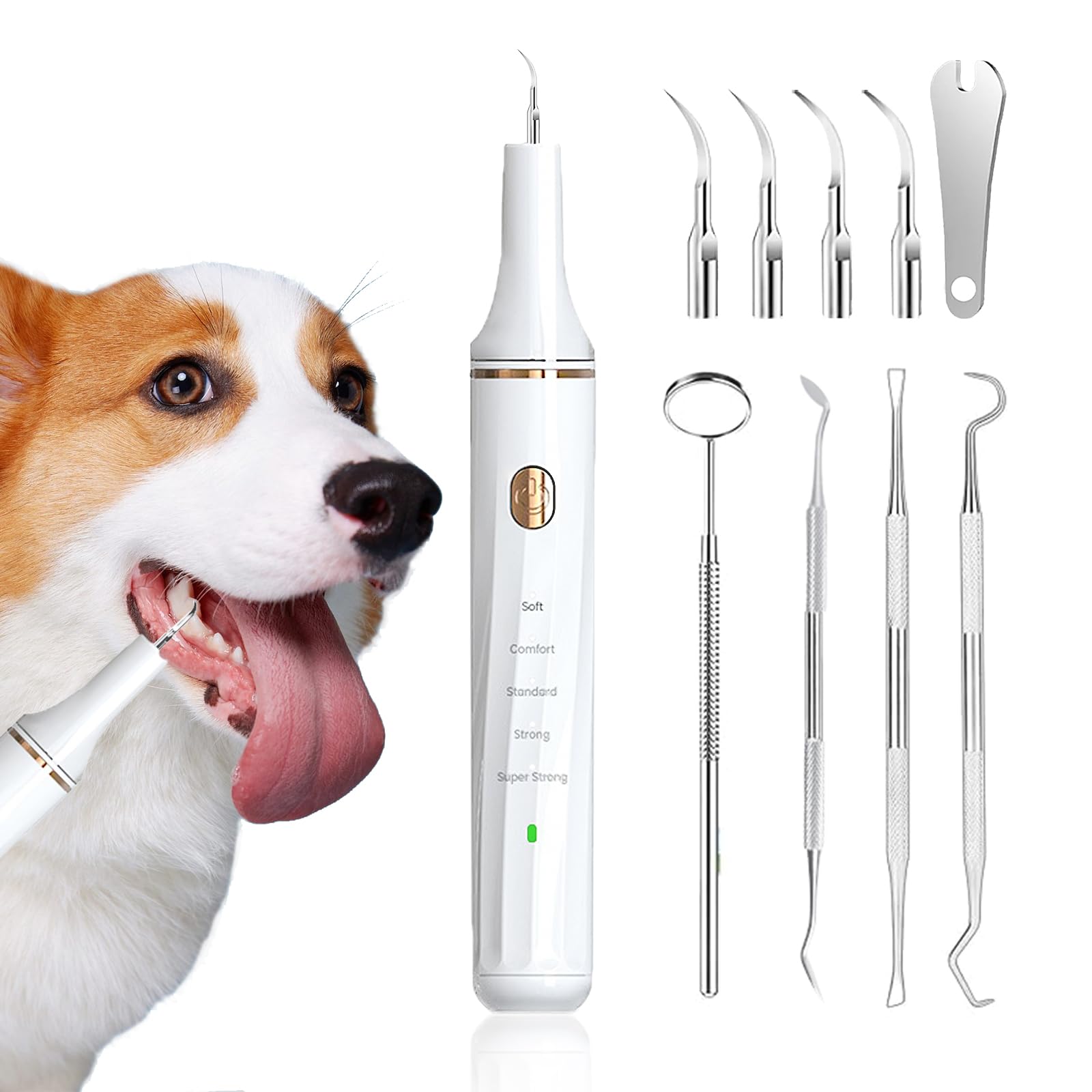 Dog Toothbrush USB Rechargeable Dog Toothbrush Ultrasonic Vibration Portable Tooth Cleaner 5 Adjustable Modes LED Light Cleaning Kit For Cats and Dogs білий
Dog Toothbrush USB Rechargeable Dog Toothbrush Ultrasonic Vibration Portable Tooth Cleaner 5 Adjustable Modes LED Light Cleaning Kit For Cats and Dogs білий