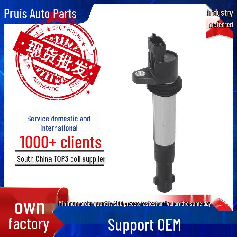 High-Voltage Ignition Coil Pack 2112-3705010-10 for Lada
High-Voltage Ignition Coil Pack 2112-3705010-10 for Lada