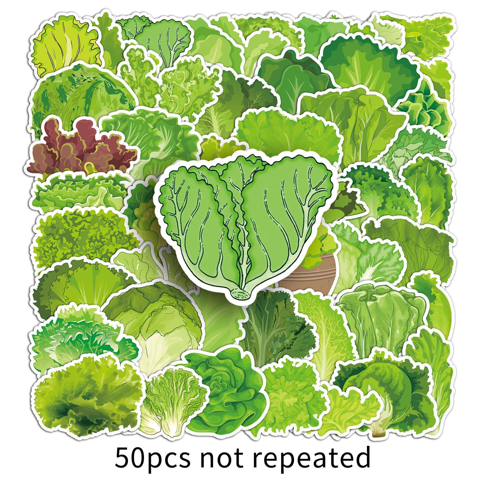 50 Cartoon Lettuce Stickers: Waterproof Green Vegetable Decorations for Tablets, Refrigerators, Diaries, and More.
50 Cartoon Lettuce Stickers: Waterproof Green Vegetable Decorations for Tablets, Refrigerators, Diaries, and More.