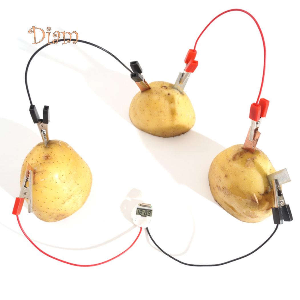 DAG DIY Картофель Фрукты Батарея БиоЭнергия Свет Диодные Часы Набор Экспериментальная Игрушка
DAG DIY Картофель Фрукты Батарея БиоЭнергия Свет Диодные Часы Набор Экспериментальная Игрушка