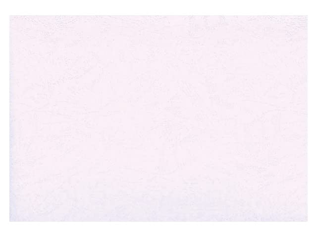 3435 PPLS Calf Embossed Paper A4 Extra Thick Cover Booklet Card White 100 pieces Leather-like 1 білий
3435 PPLS Calf Embossed Paper A4 Extra Thick Cover Booklet Card White 100 pieces Leather-like 1 білий