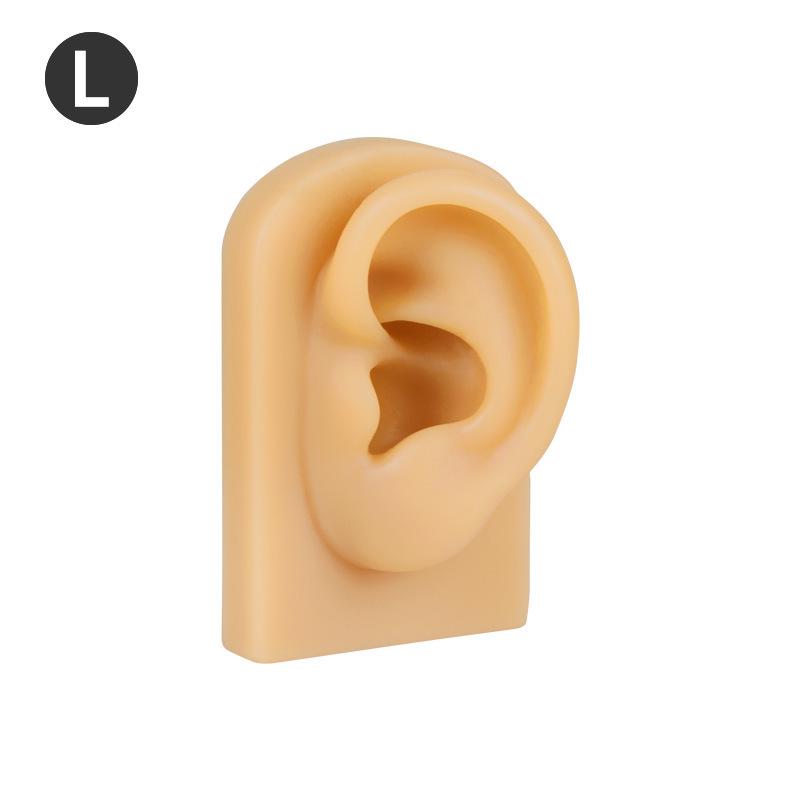 Силиконовая модель уха и носа для практики и инструмент для чистки ушей
Силиконовая модель уха и носа для практики и инструмент для чистки ушей