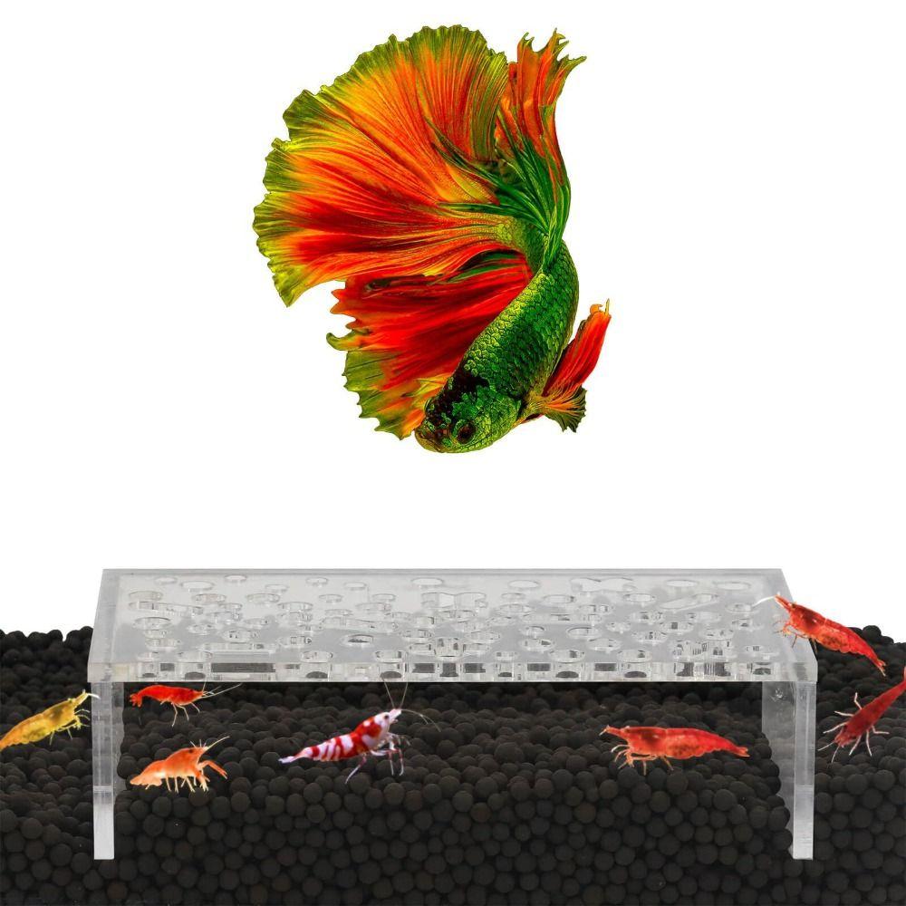 Гидропоника Fish Lounge Cave Planted Tank Hideout Fish Tank Орнамент Новый держатель для растений для Fish Tank
Гидропоника Fish Lounge Cave Planted Tank Hideout Fish Tank Орнамент Новый держатель для растений для Fish Tank
