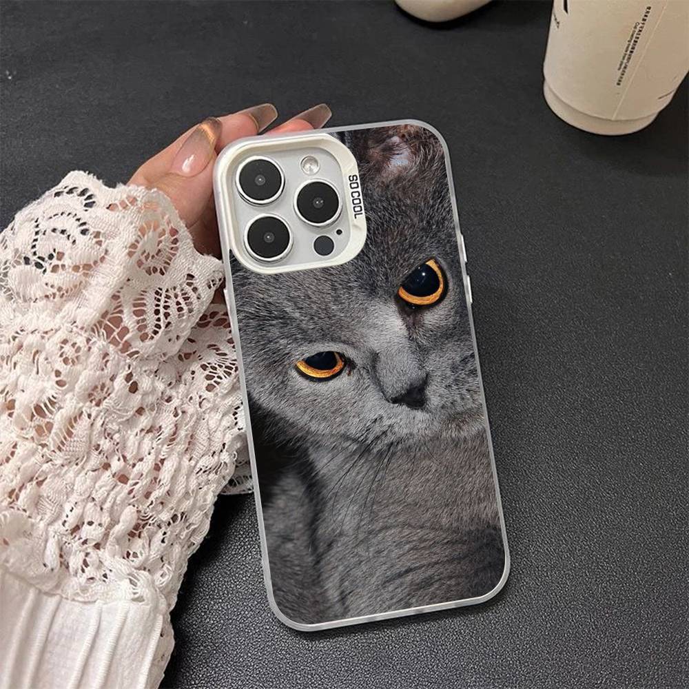 British shorthair cat Silver Plated Inside Phone Case For iPhone 17 16 15 14 11 12 13 Pro Max Plus X XR XS Max Colored iPhone 13
British shorthair cat Silver Plated Inside Phone Case For iPhone 17 16 15 14 11 12 13 Pro Max Plus X XR XS Max Colored iPhone 13