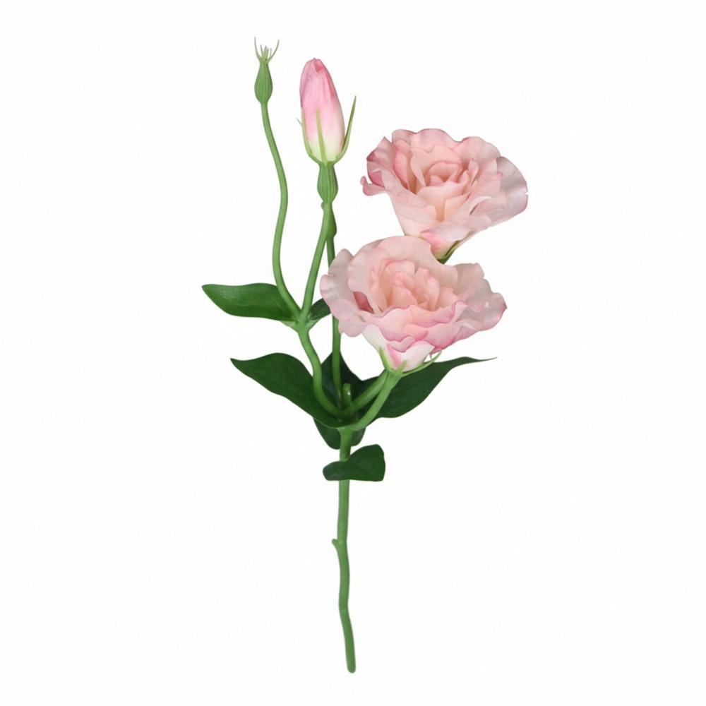 3 Heads Eustoma Artificial Flowers Silk Petals Floral Arrangement Simulation Lisianthus Flower Photo Props Multicolor светло-розовый
3 Heads Eustoma Artificial Flowers Silk Petals Floral Arrangement Simulation Lisianthus Flower Photo Props Multicolor светло-розовый