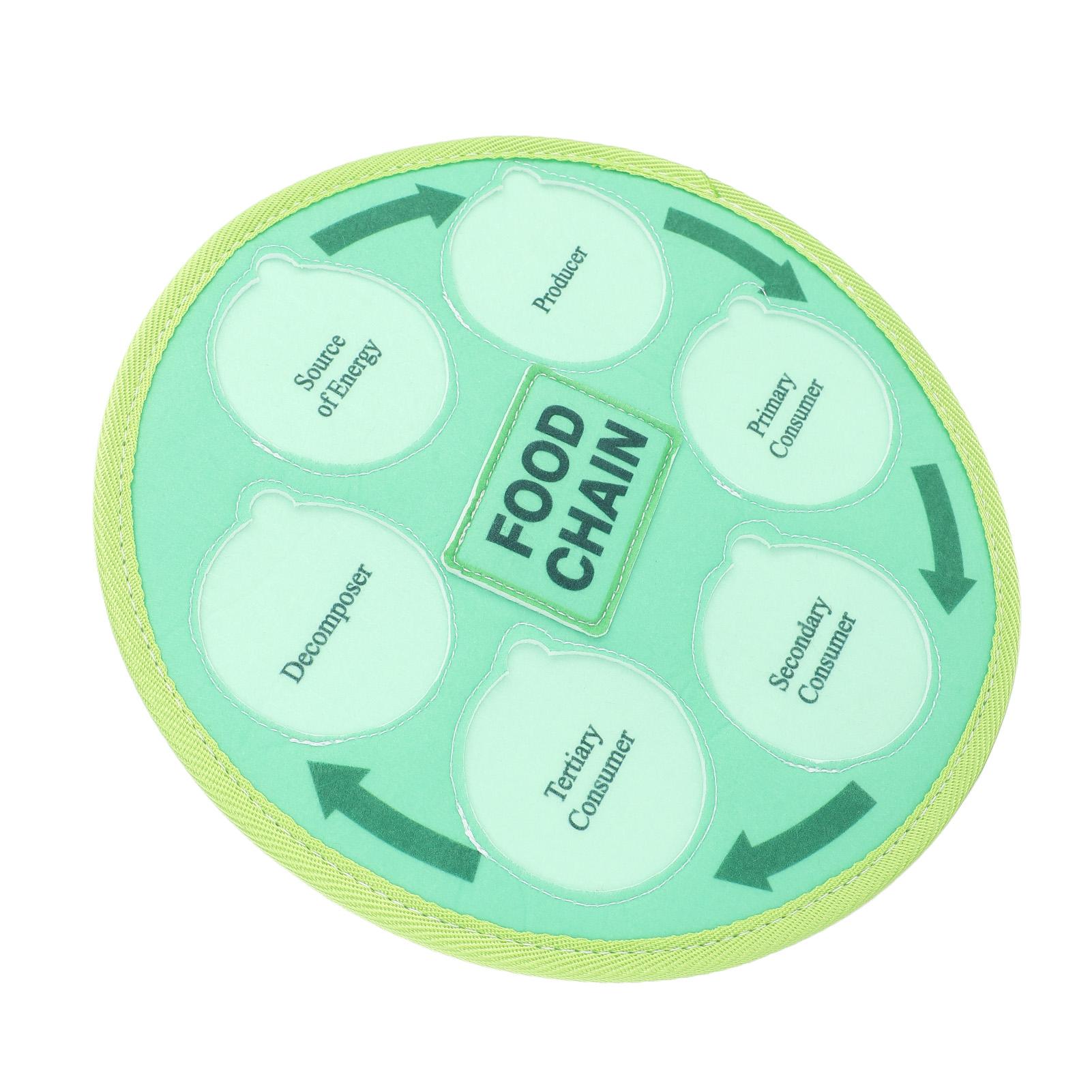Life Cycle Learning Toys Felt Material Animal Food Chain Food Web Science Educational Toy for Preschool
Life Cycle Learning Toys Felt Material Animal Food Chain Food Web Science Educational Toy for Preschool
