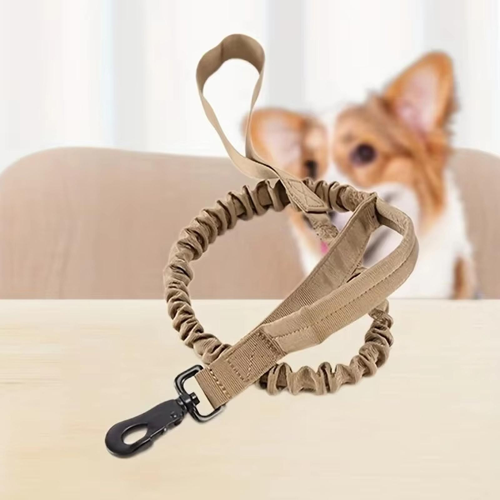 Adjustable in Size, For Medium to Large Dogs, Hunting dog Collar and Leash One Size
Adjustable in Size, For Medium to Large Dogs, Hunting dog Collar and Leash One Size