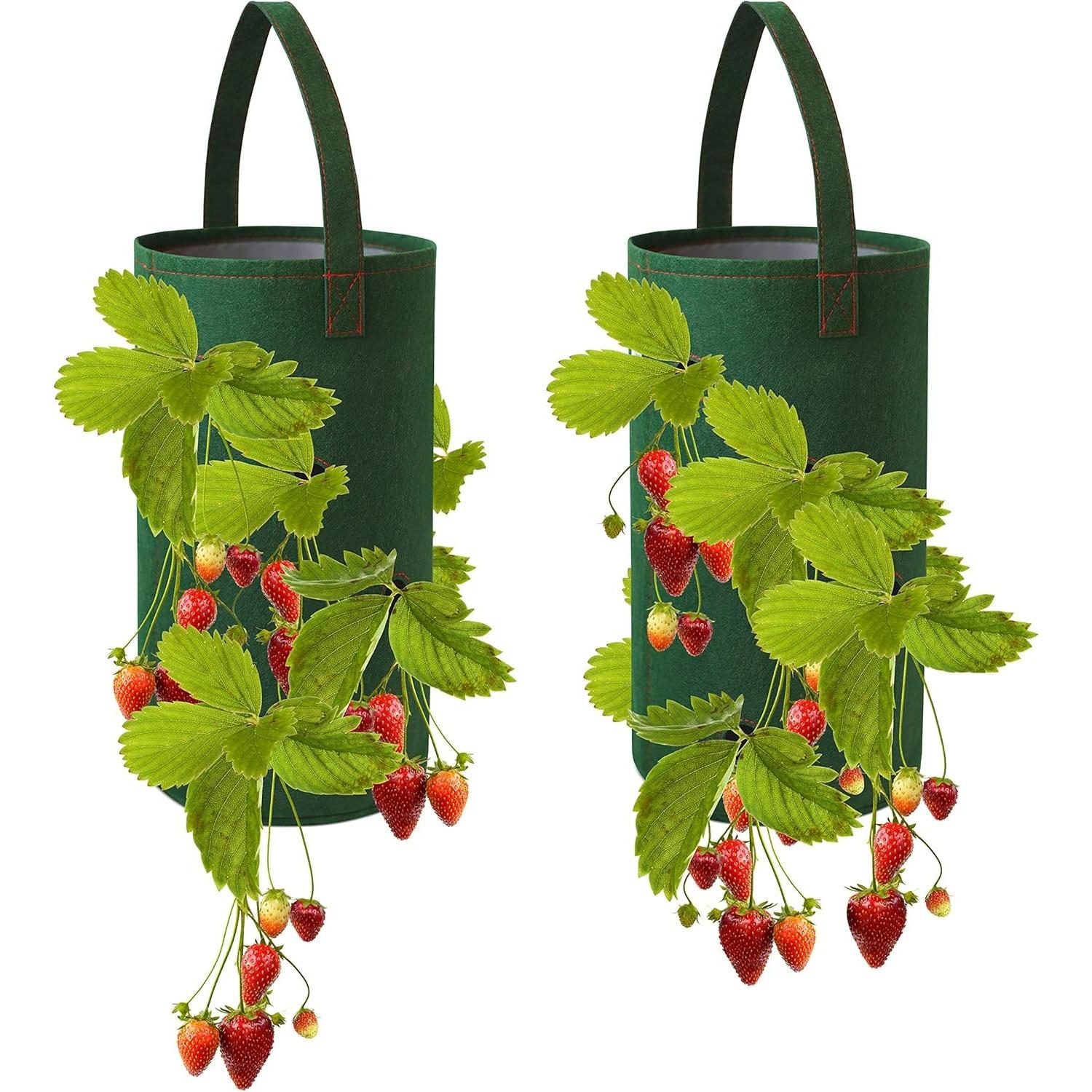 Hanging Strawberry Planter for Strawberry Bare Root Plants (Roots not Included) Felt Material 2 Pack зелёный
Hanging Strawberry Planter for Strawberry Bare Root Plants (Roots not Included) Felt Material 2 Pack зелёный