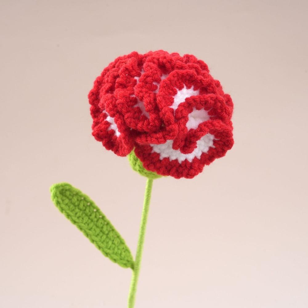 Creative Wool Carnation Bouquet Hand Crocheted Colorful Handmade Bouquet Wool Woven Flower Gift
Creative Wool Carnation Bouquet Hand Crocheted Colorful Handmade Bouquet Wool Woven Flower Gift