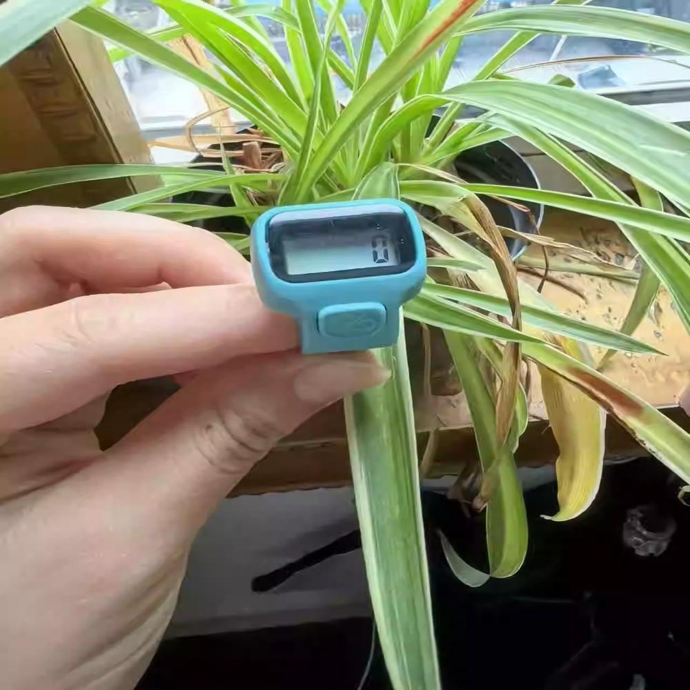 Сбрасываемый кликер для рук, фитнес, цифровые счетчики, отслеживание фитнеса светло-синий
Сбрасываемый кликер для рук, фитнес, цифровые счетчики, отслеживание фитнеса светло-синий