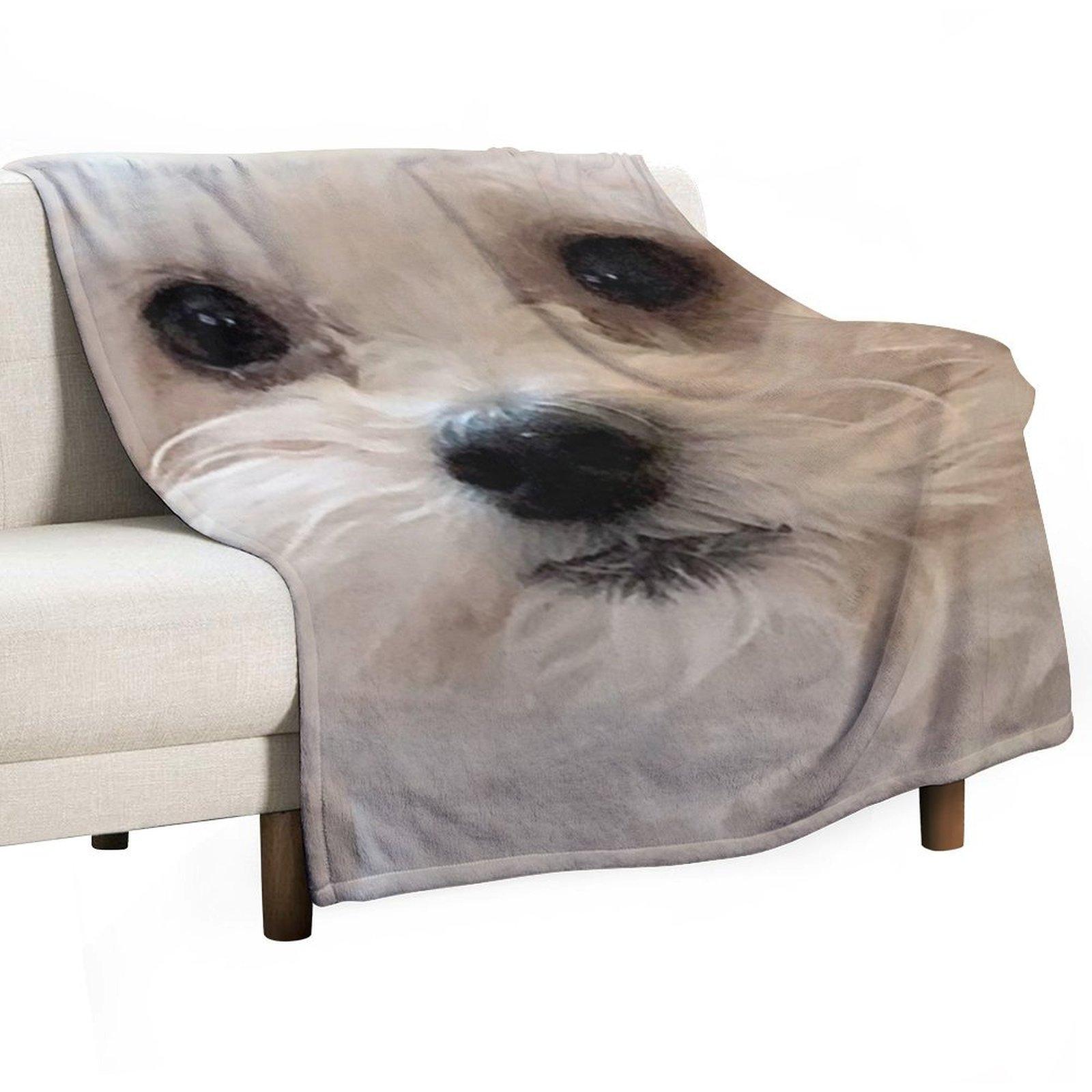 Maltipoo sweetheart with long silky white hair. Throw Blanket sofa bed Blankets For Bed Moving Warm Blankets 30x40in
Maltipoo sweetheart with long silky white hair. Throw Blanket sofa bed Blankets For Bed Moving Warm Blankets 30x40in