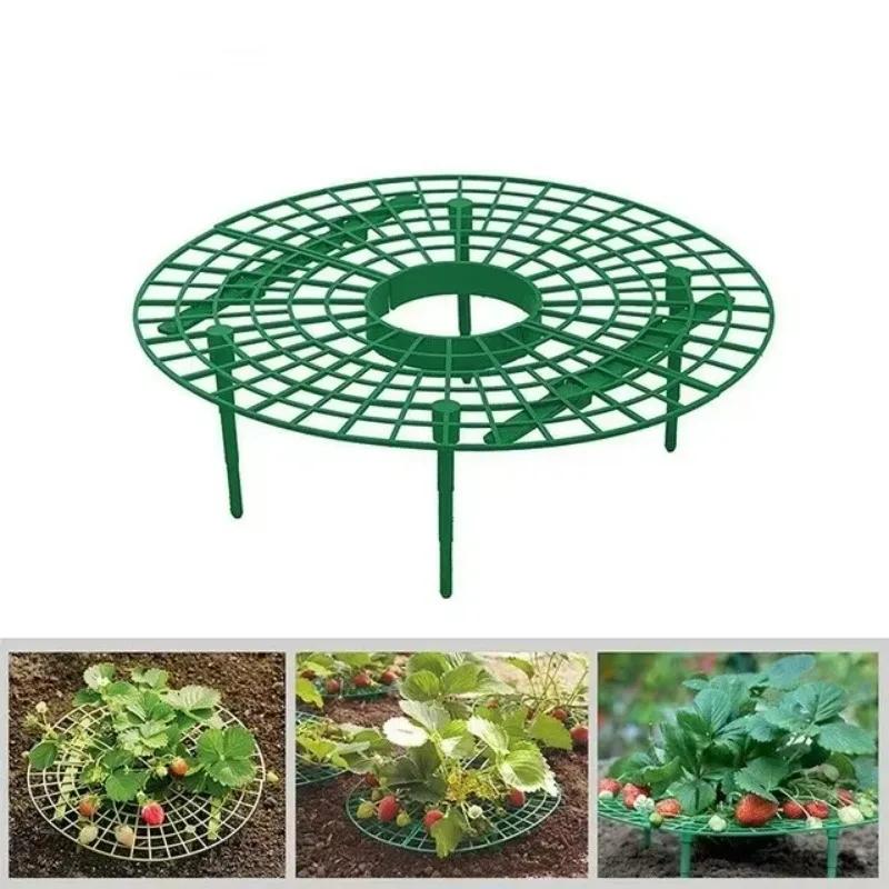 Tray Support for Planting Potted Fruits Green Plants Splicing Anti-Rot Lodging Leaf Rot Fruit Gardening Support Frame бежевый
Tray Support for Planting Potted Fruits Green Plants Splicing Anti-Rot Lodging Leaf Rot Fruit Gardening Support Frame бежевый